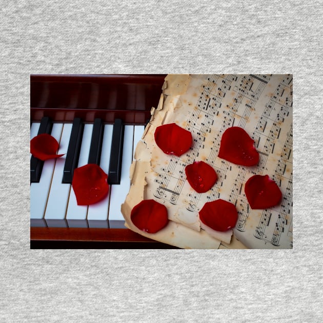 Rose Petals On Sheet Music by photogarry